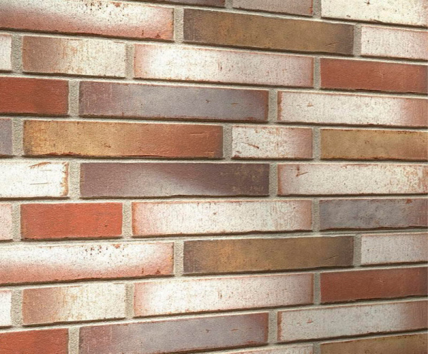 Клинкерная плитка Feldhaus Vario R921LDF14